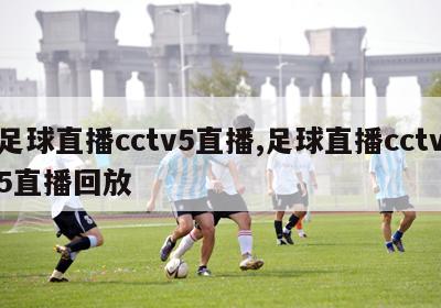 足球直播cctv5直播,足球直播cctv5直播回放