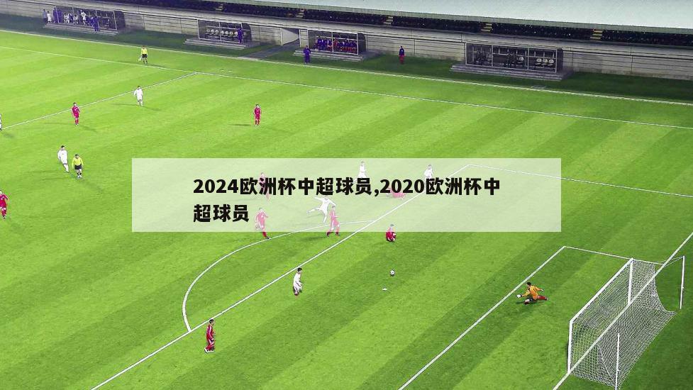 2024欧洲杯中超球员,2020欧洲杯中超球员