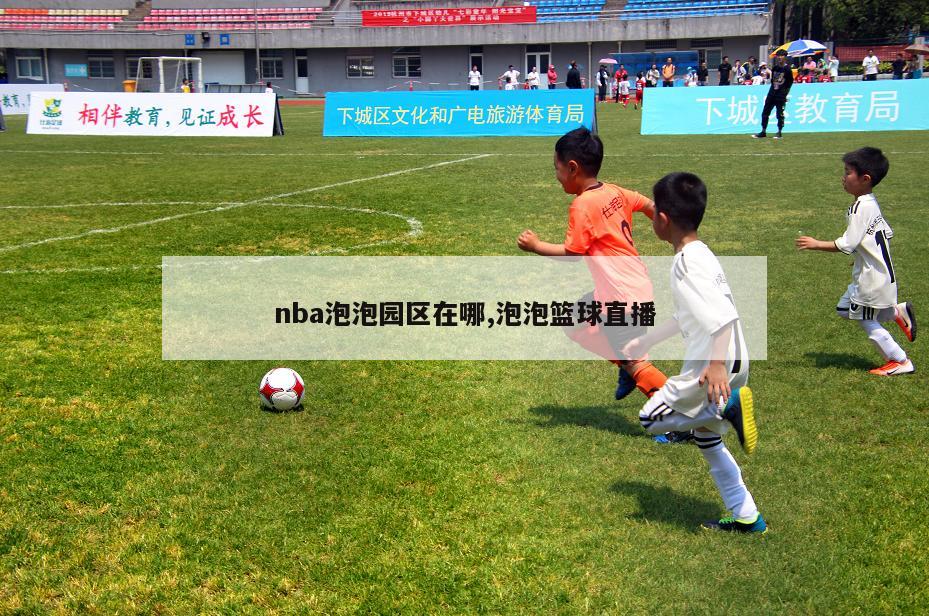 nba泡泡园区在哪,泡泡篮球直播