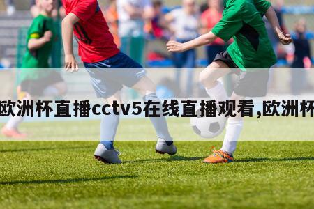 欧洲杯直播cctv5在线直播观看,欧洲杯