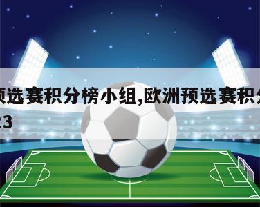 欧洲预选赛积分榜小组,欧洲预选赛积分榜小组2023