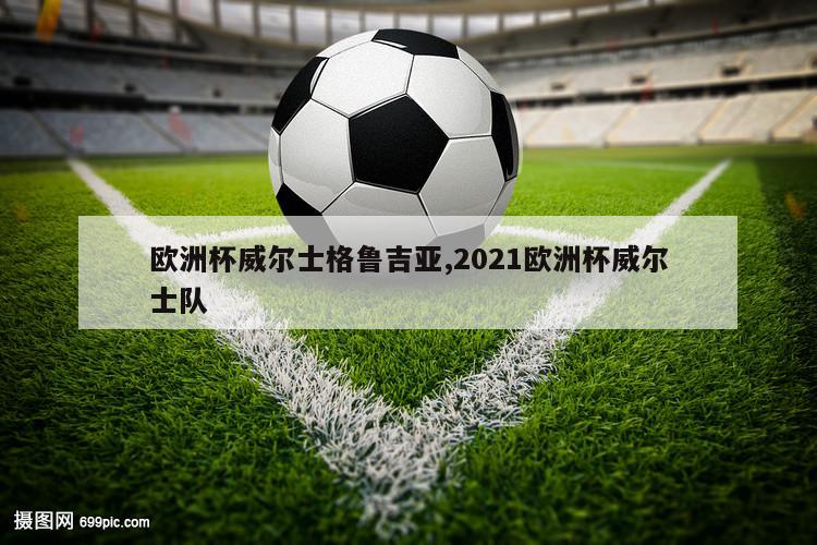 欧洲杯威尔士格鲁吉亚,2021欧洲杯威尔士队