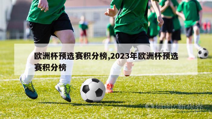 欧洲杯预选赛积分榜,2023年欧洲杯预选赛积分榜