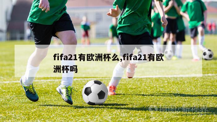 fifa21有欧洲杯么,fifa21有欧洲杯吗